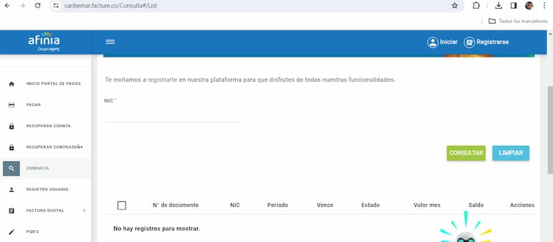 Consulta Factura Afinia Descargar Y Pagar Tu Recibo